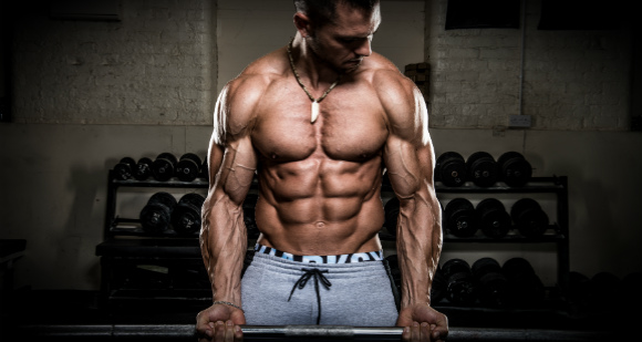 lean muscle mass